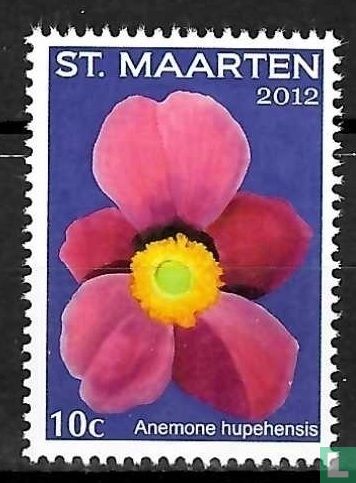 Fleurs