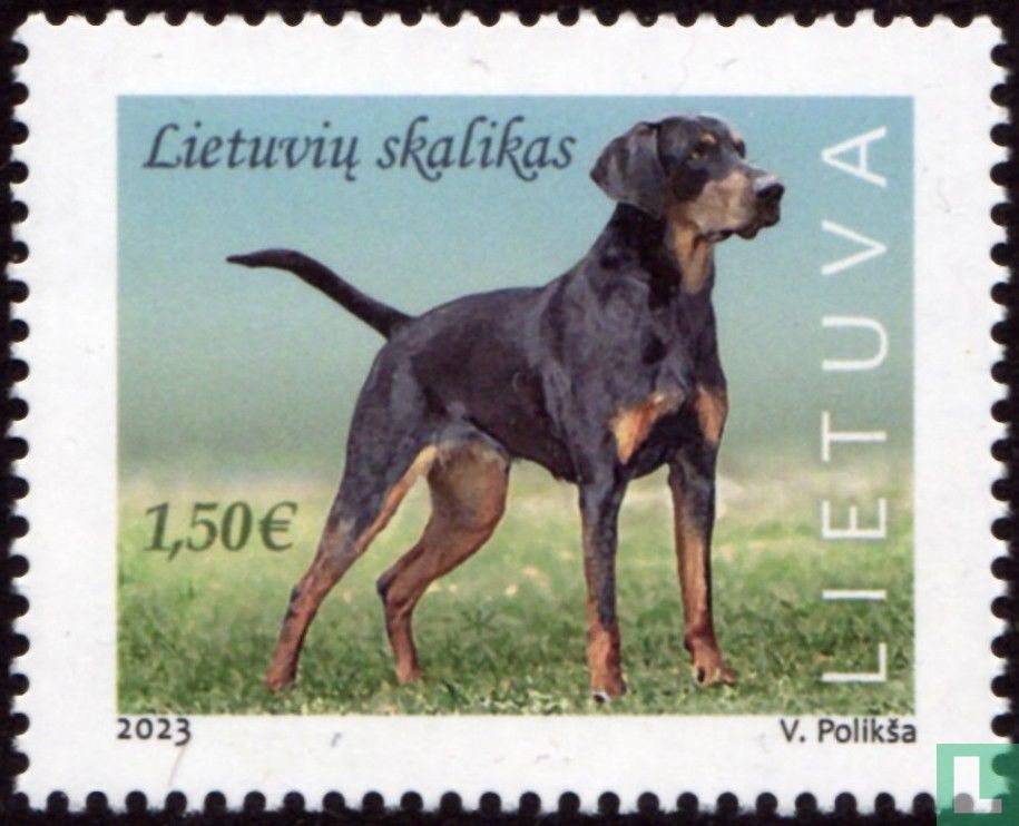 Litauischer Jagdhund