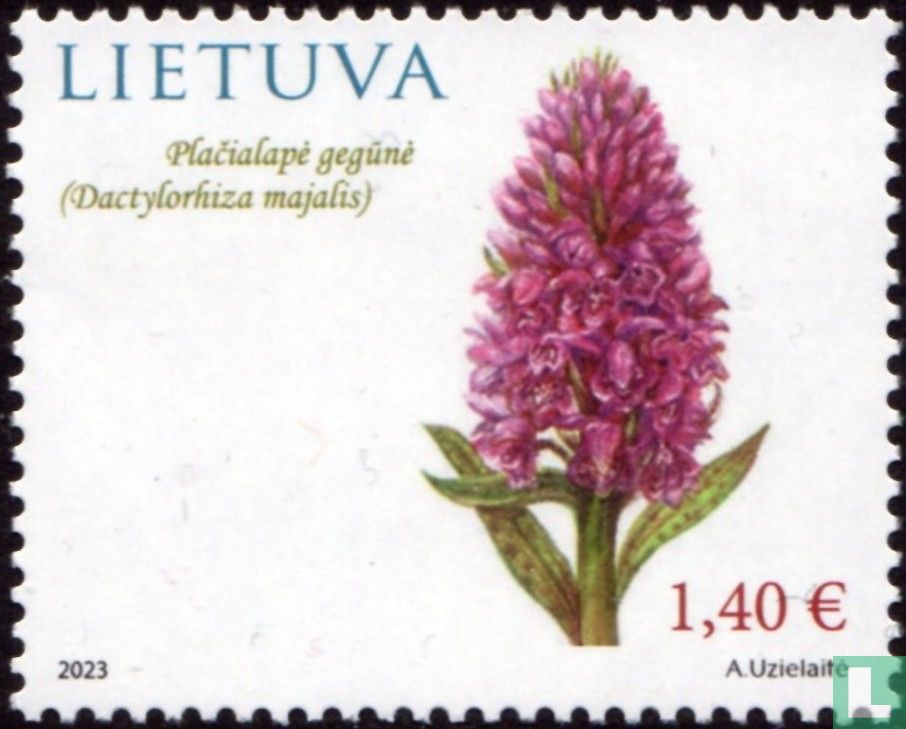 Wildflowers