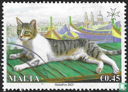 Maltese cats