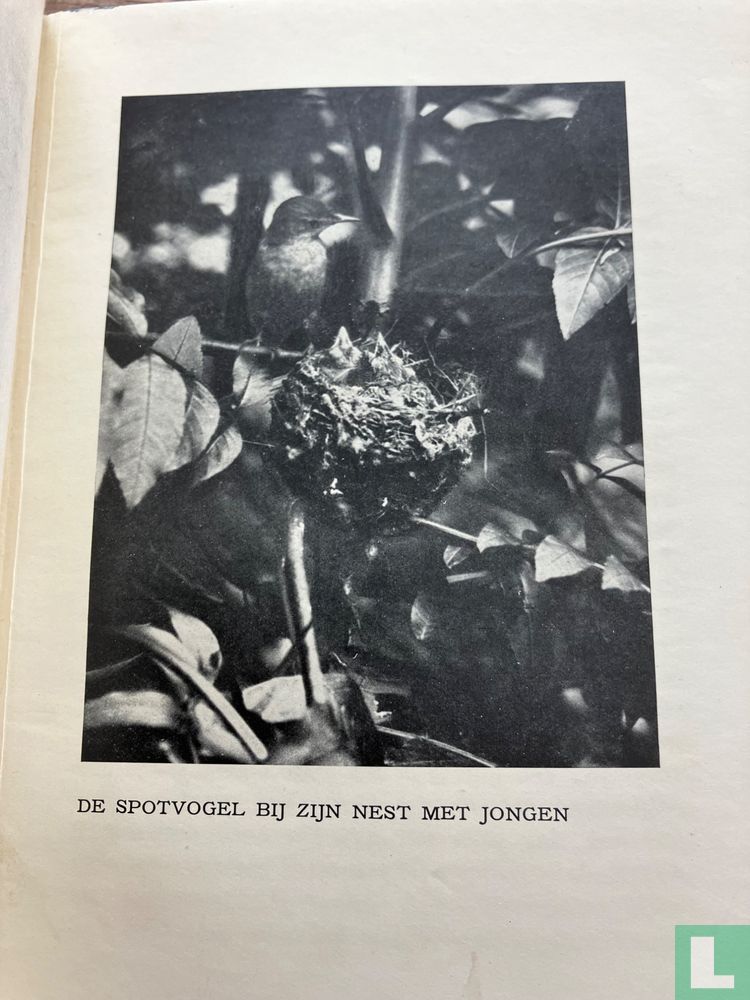 Van velerlei veer