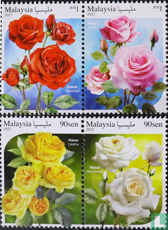 Roses