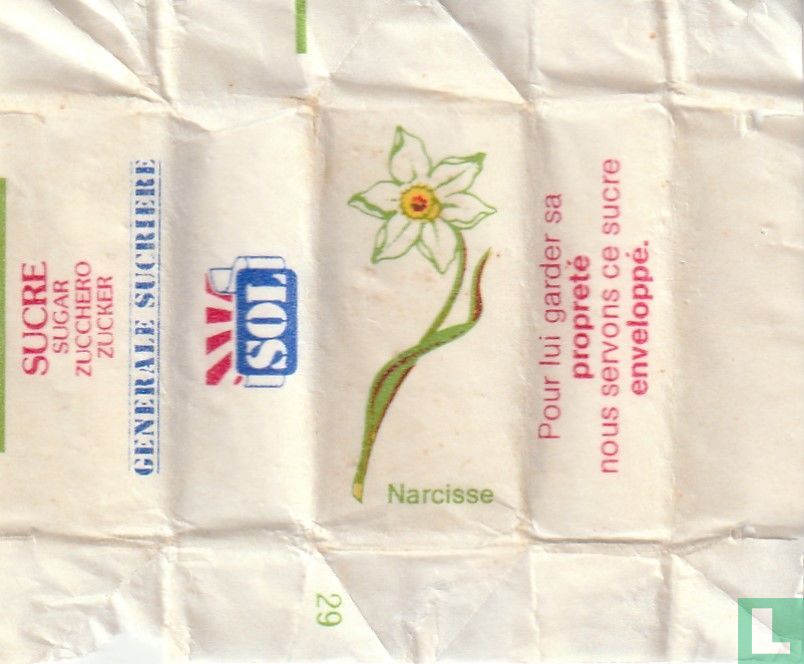 Narcisse