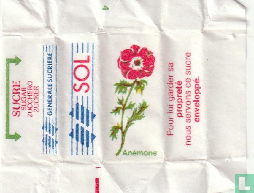 Anémone [4]
