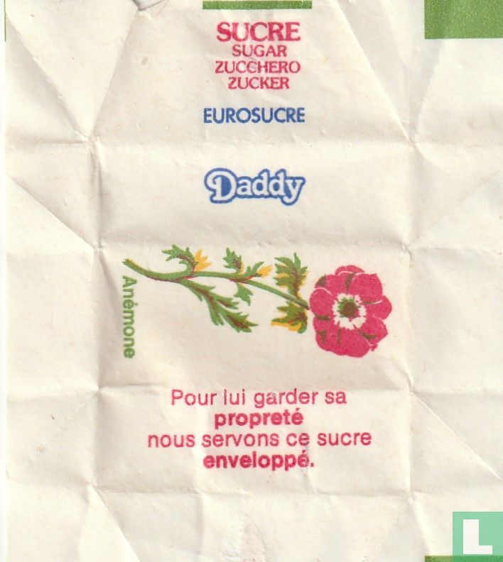 Anémone