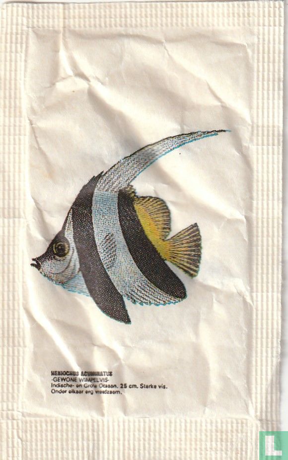 Heniochus acuminatus