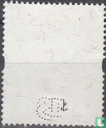 Anas clypeata
