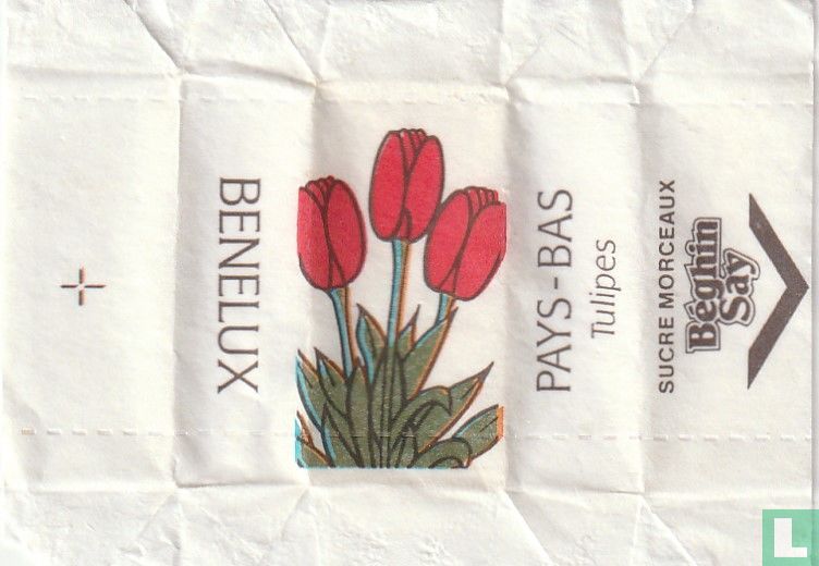 Tulipes