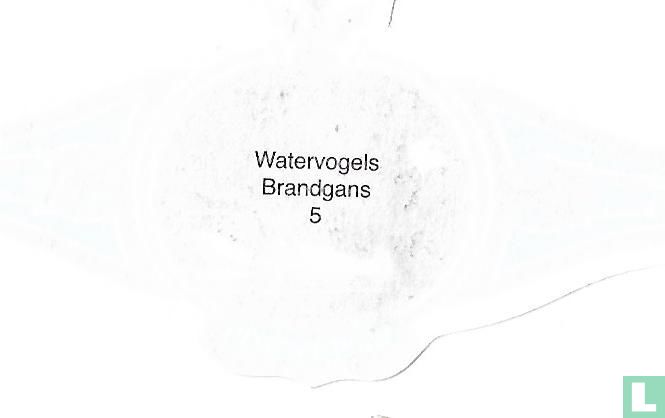 Brandgans