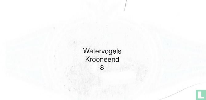 Krooneend