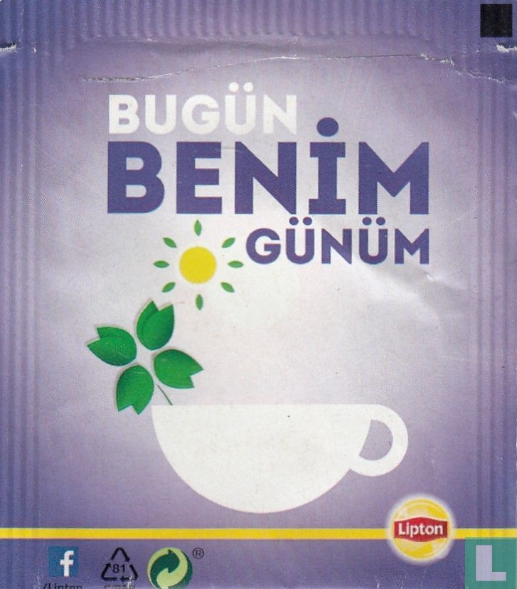Adaçayi