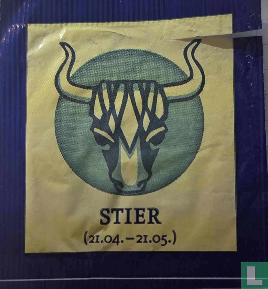 Stier