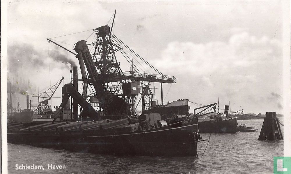 Schiedam, Haven