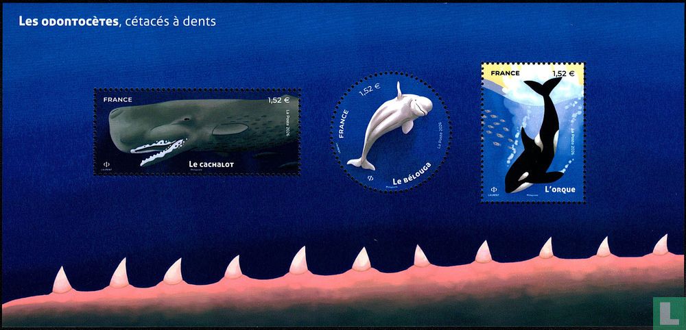 Cetaceans
