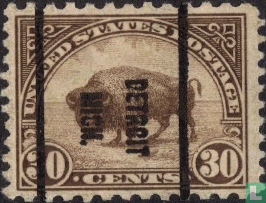 American buffalo