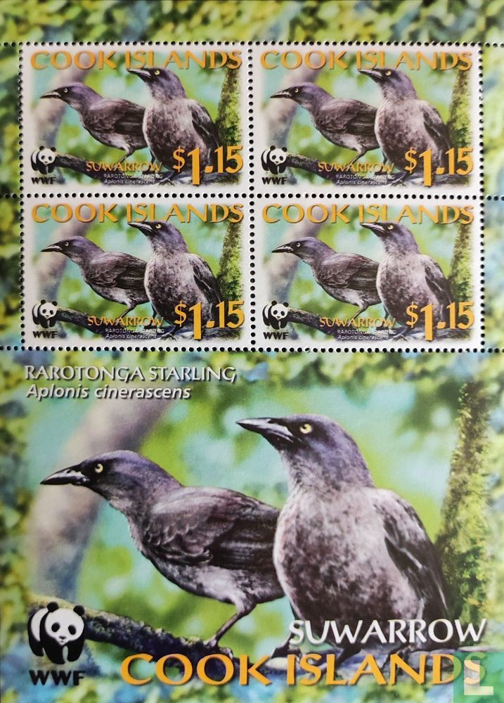 Rarotonga Starling