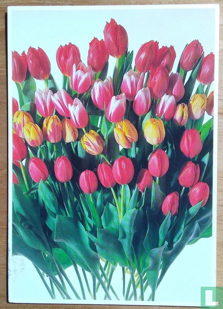 Flowerpower no. 8