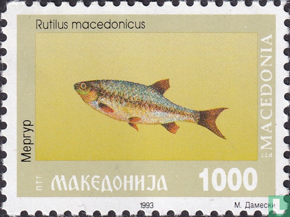 Gardon de Macédoine
