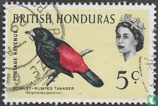 Oiseaux