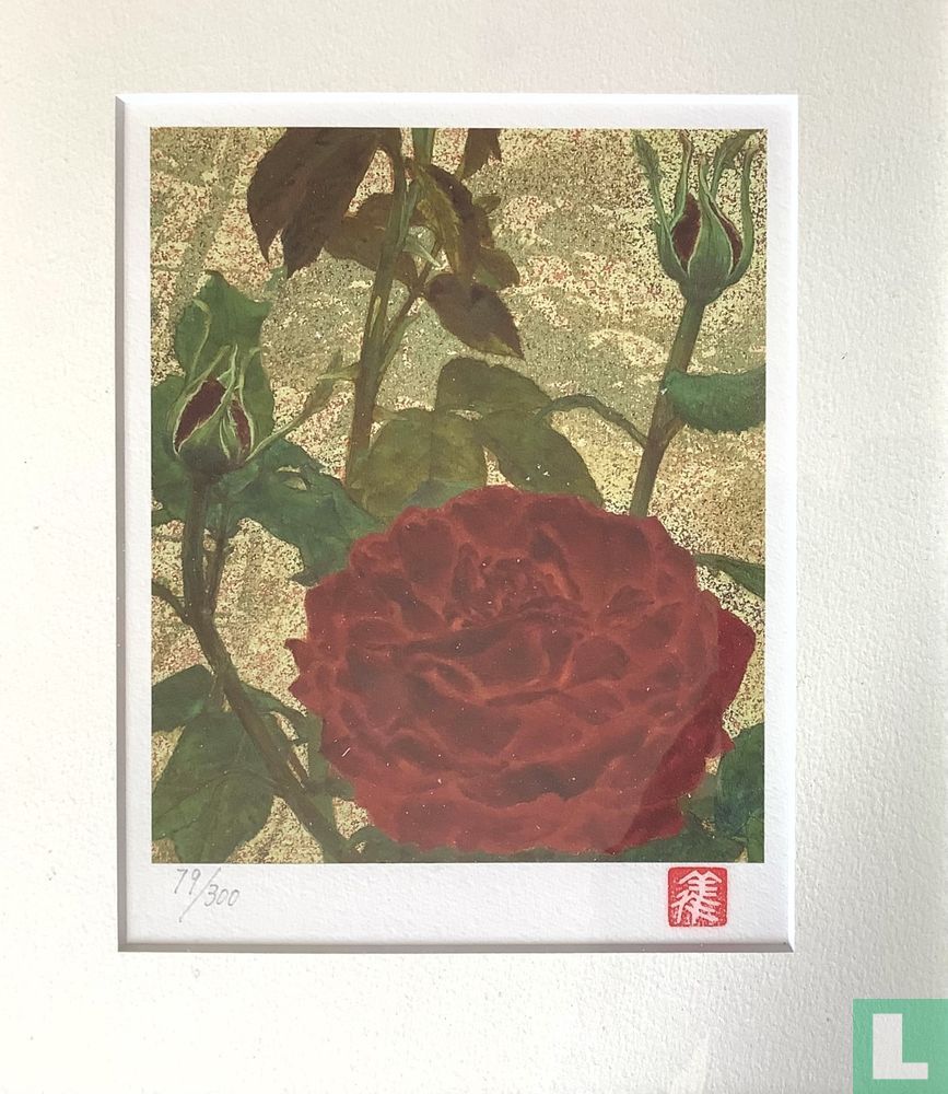 Roos Bara (薔薇)