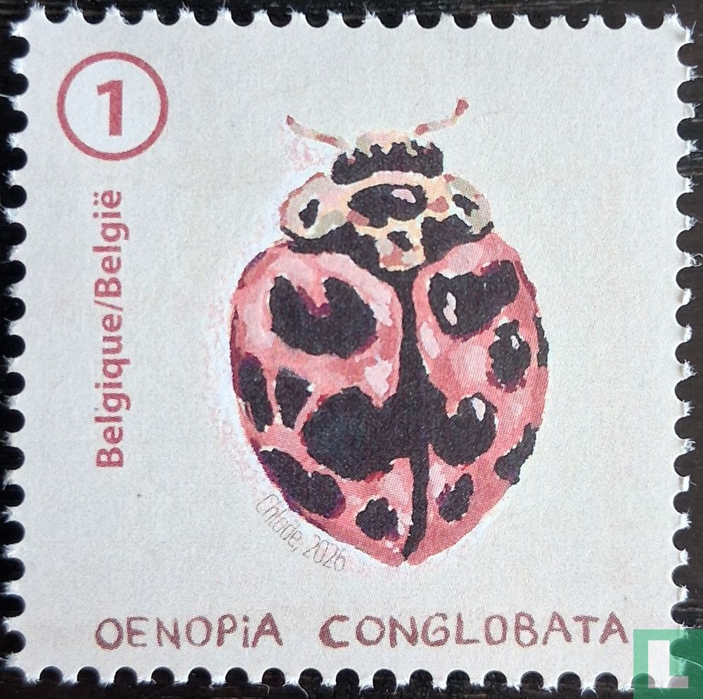 Coccinelles
