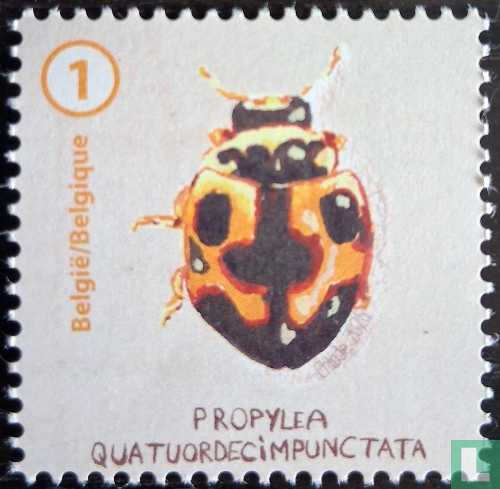 Ladybugs