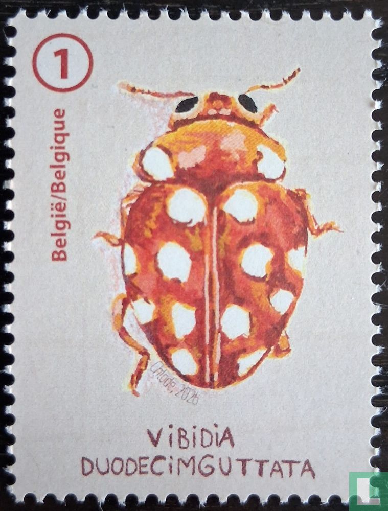 Coccinelles