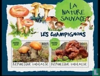 Champignons