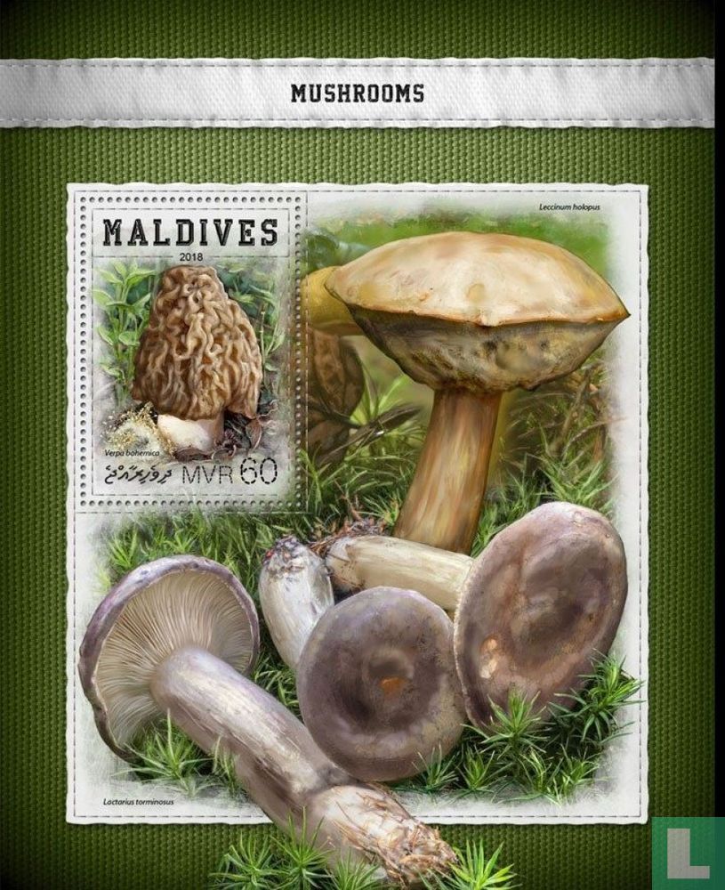 Champignons