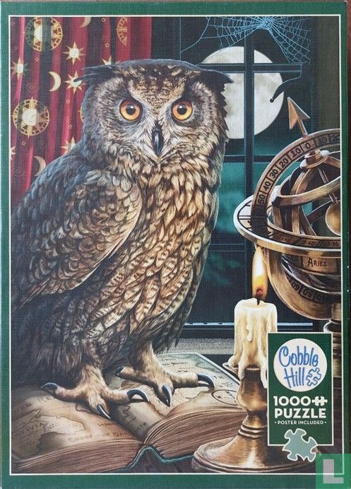 The Astrologer