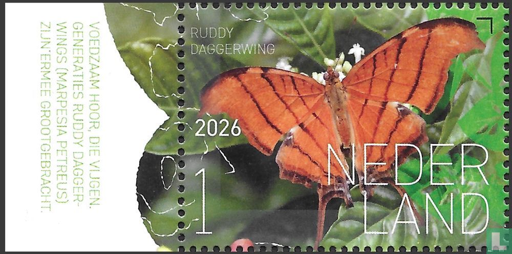 Ruddy Daggerwing