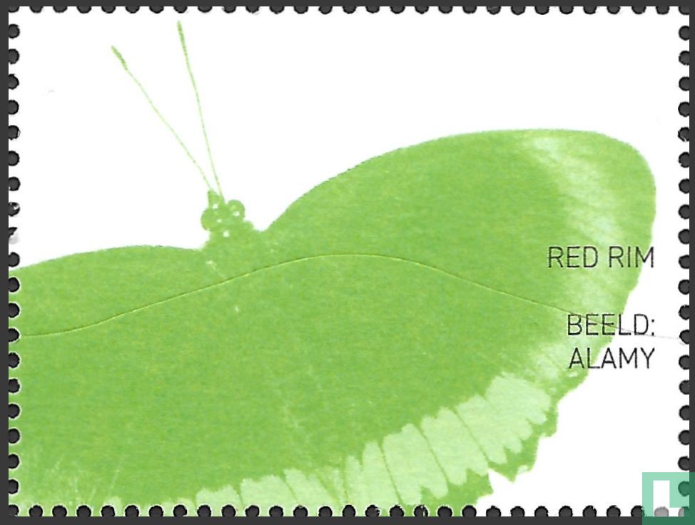 Red Rim
