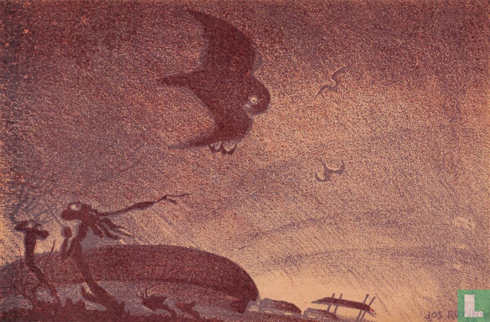 7. VELDUIL. (Otus accipitrinus).