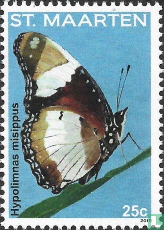 Butterflies