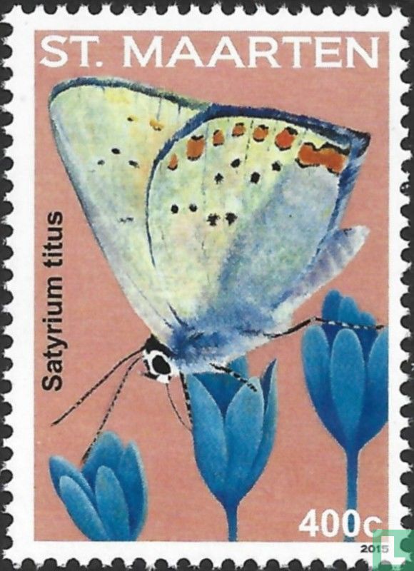 Butterflies