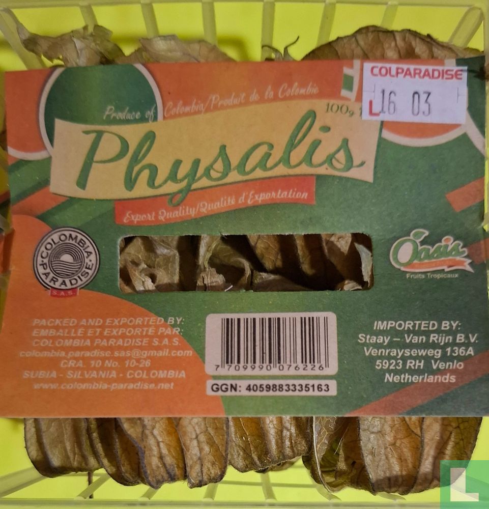 Physalis