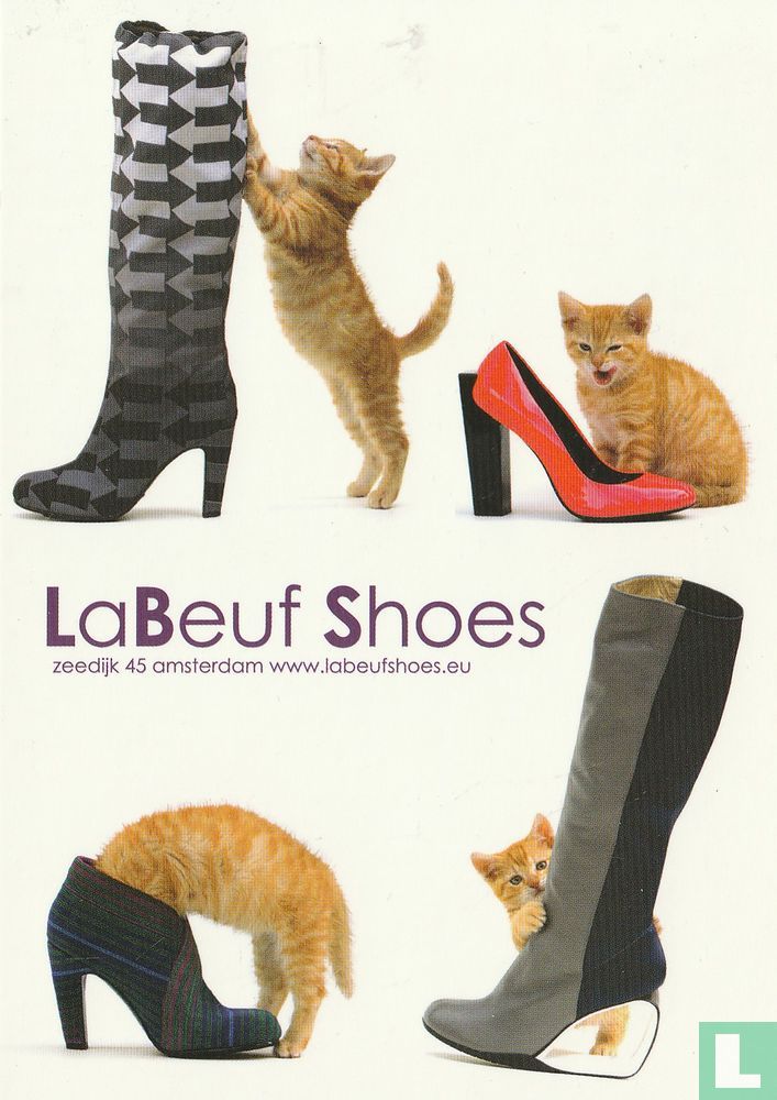LaBeuf Shoes
