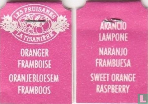Oranger Framboise 