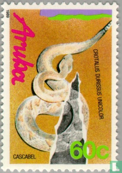 Serpent à sonnette d'Aruba