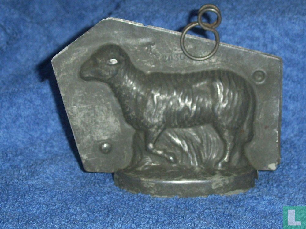 Schaap