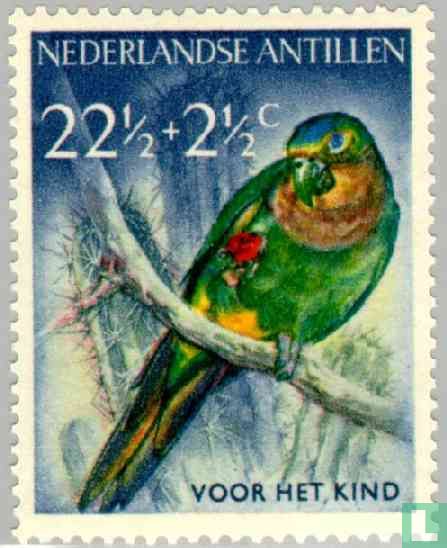 Oiseaux