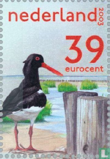 Dutch Wadden