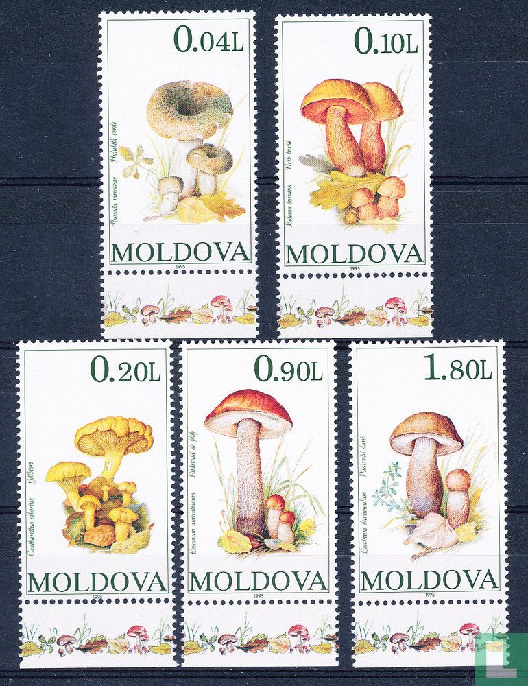 Mushrooms