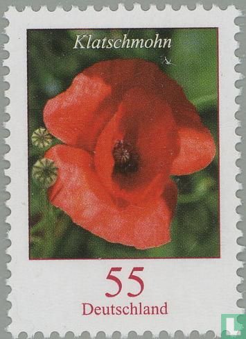 Coquelicot