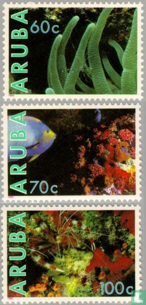 Underwater Life