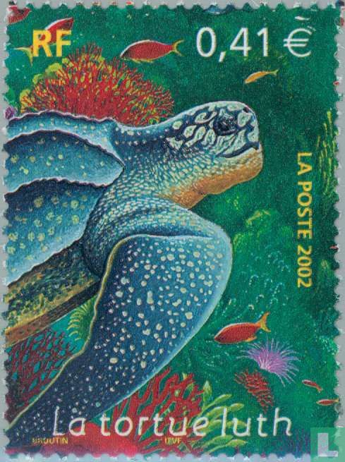 Zeefauna