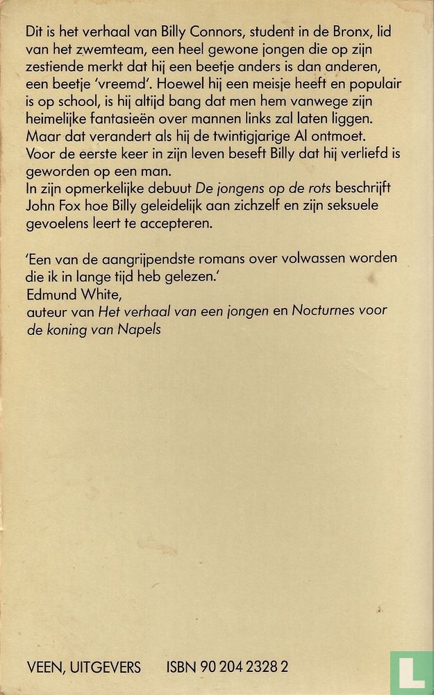 De jongens op de rots