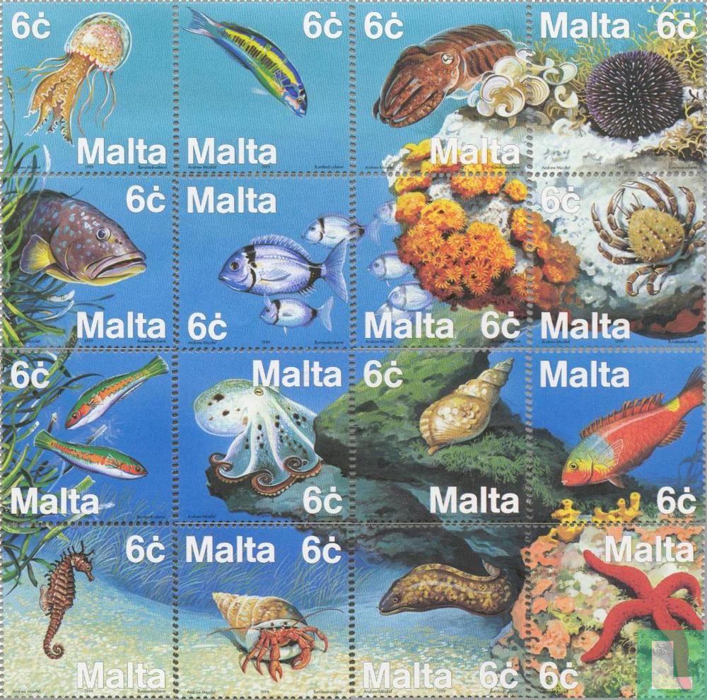 Faune méditerranéenne 