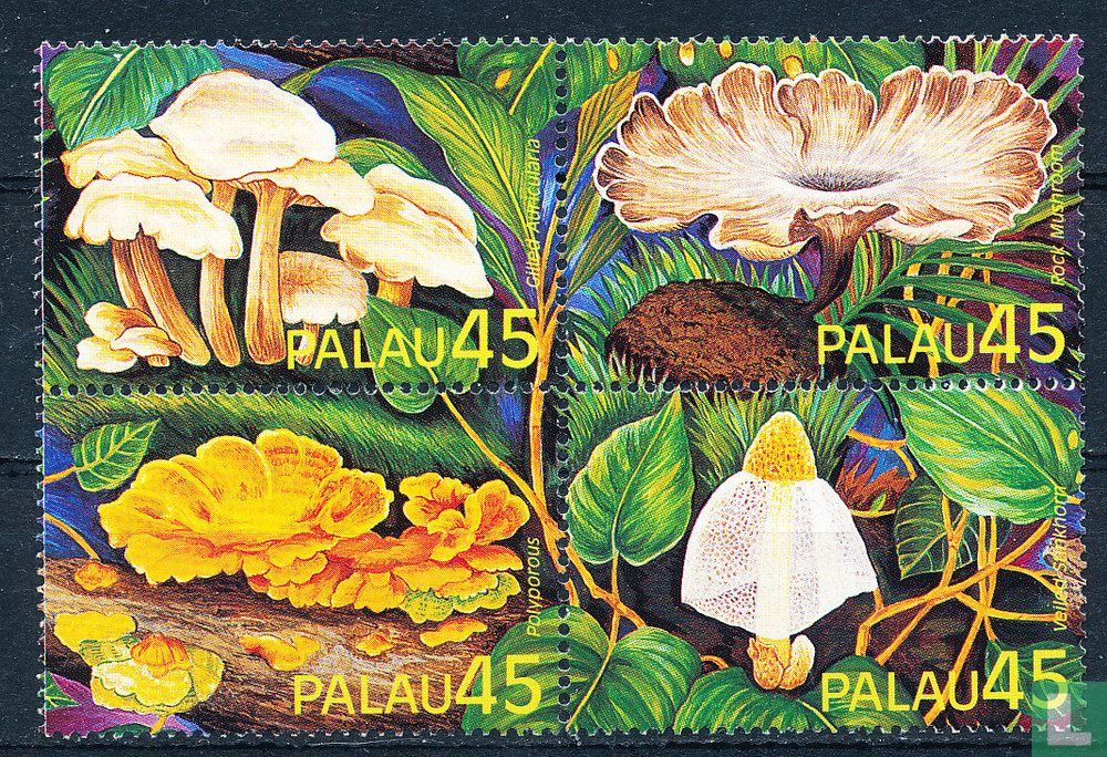 Mushrooms