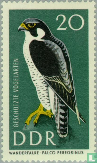 Oiseaux